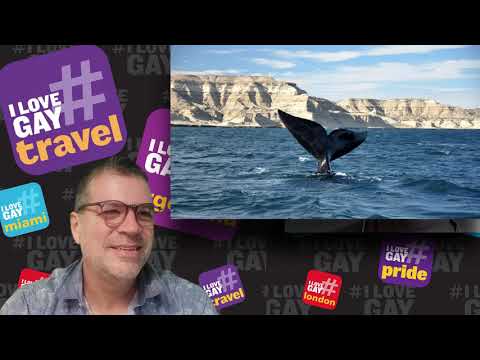 Sebastian Southwell: Condor Travel