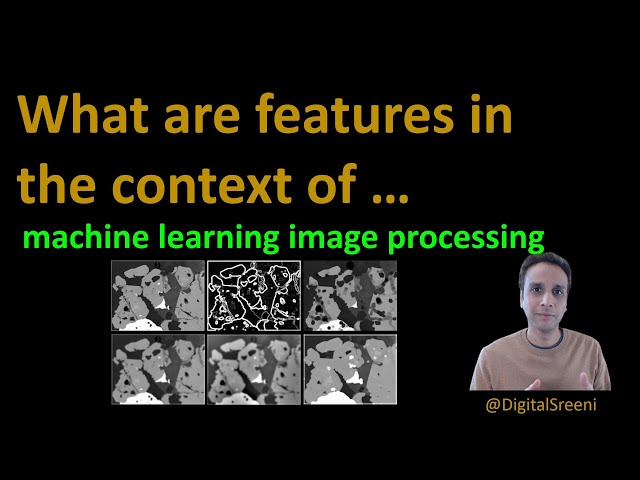 What is a Feature in Machine Learning?