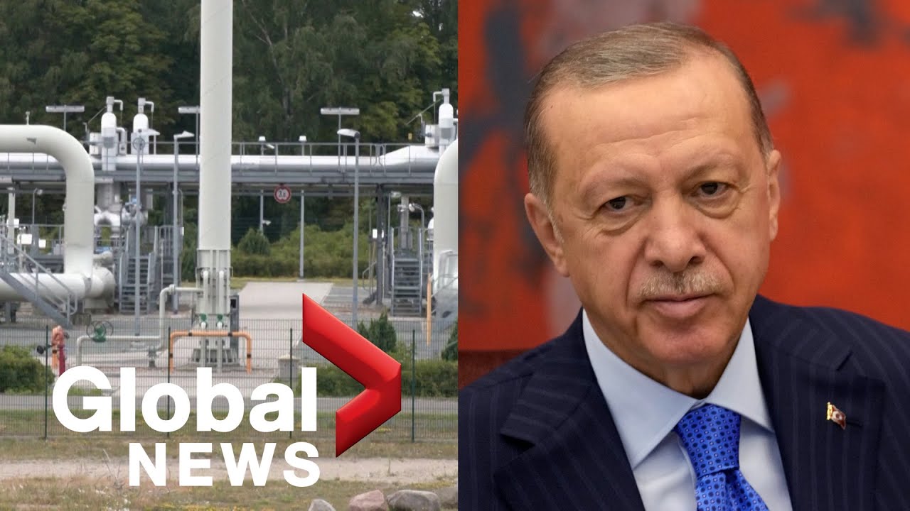 Turkey’s Erdogan criticizes West’s “provocative” policies toward Russia