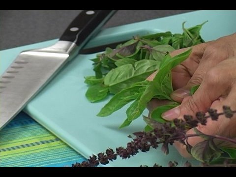 Basil: Freezing Basil with Parmesan Cheese