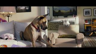 Marmaduke - In Theaters June 4! | Official Trailer (HD)  | 20th Century FOX