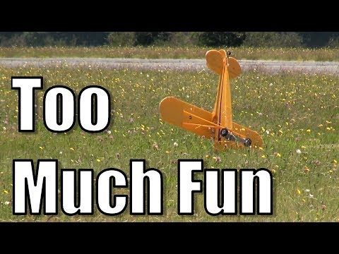 RC planes in the New Zealand summer sun - UCQ2sg7vS7JkxKwtZuFZzn-g