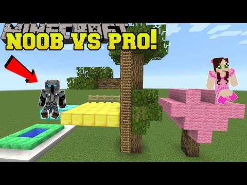 Minecraft: NOOB VS PRO!!! - BUILD BATTLE PRO TEAM! - Mini-Game - UCpGdL9Sn3Q5YWUH2DVUW1Ug