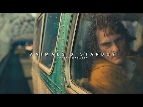 Animals x Starboy | Full Version | Aviral Kapasia | Slowed+Reverb