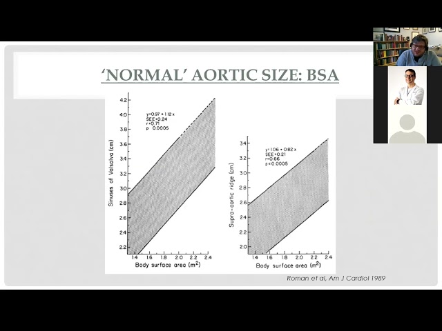 What Is The Normal Size Of The Ascending Aorta StuffSure