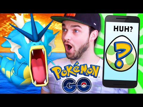 Pokemon GO Gameplay - EGG HATCHING & GYARADOS HUNT! - UCyeVfsThIHM_mEZq7YXIQSQ