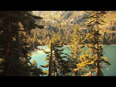 Etherwood - Sunlight Splinters (Official Video) - UCr8oc-LOaApCXWLjL7vdsgw