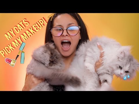 MY CATS PICK MY MAKEUP?! - UCXTAdFsBmxNK3_c8MUvSviQ