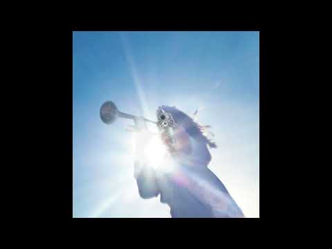 GEESE - TRINIDAD