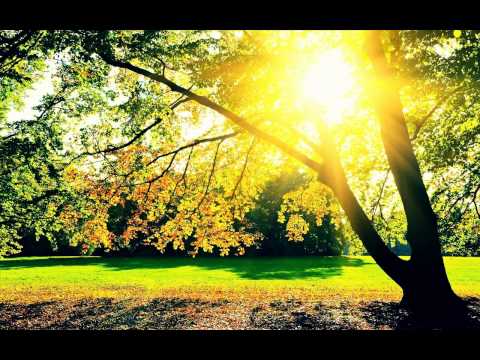 [Chillstep/Dubstep] Madza - Chillin under the tree (Free Download) - UCd24KR51l3JzGZh7GoW0OEg