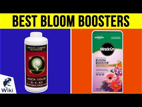 10 Best Bloom Boosters 2019 - UCXAHpX2xDhmjqtA-ANgsGmw