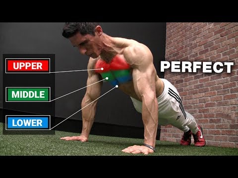 The Perfect PUSH-UP Workout (3 LEVELS) - UCe0TLA0EsQbE-MjuHXevj2A