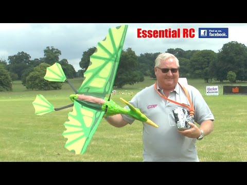 AMAZING FLYING PTERODACTYL Ornithopter * Flapping Wings!? *: Weston Park 2016 - UChL7uuTTz_qcgDmeVg-dxiQ