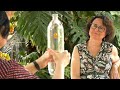 Imagen de la portada del video;PARLEM AMB  Chantal Ferrer Roca (Professora del Departament de Física Aplicada UV) video 2