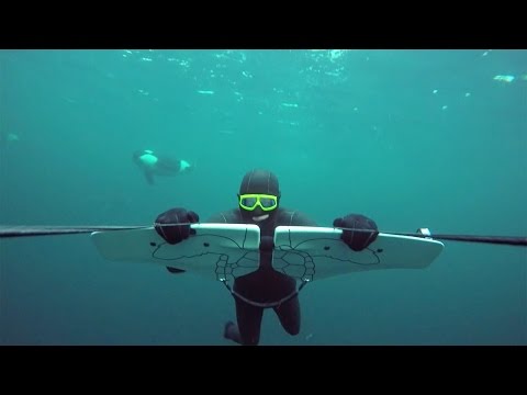 GoPro Awards: Soaring with Orcas - UCqhnX4jA0A5paNd1v-zEysw