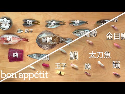 How to Make 12 Types of Sushi with 11 Different Fish | Handcrafted | Bon Appétit - UCbpMy0Fg74eXXkvxJrtEn3w