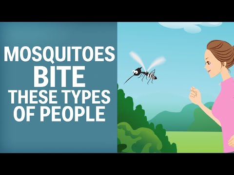 Mosquitoes Like To Bite These Types Of People - UCcyq283he07B7_KUX07mmtA