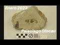 Image of the cover of the video;Enero 2022 - Paleolago Olocau