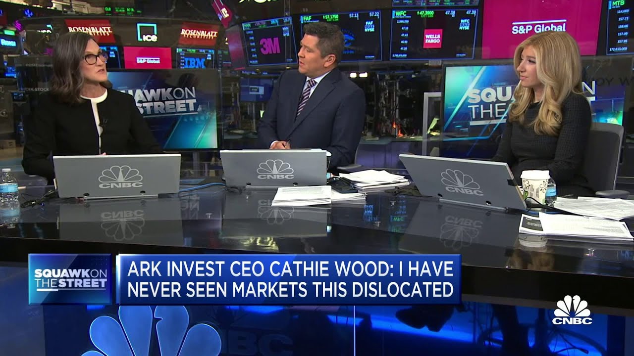 The Fed wants to make sure it’s done its job, says ARK Invest’s Cathie Wood