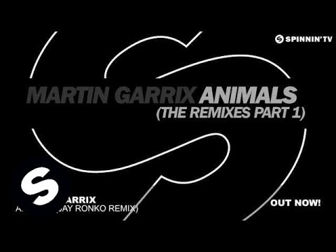 Martin Garrix - Animals (Jay Ronko Remix) - UCpDJl2EmP7Oh90Vylx0dZtA