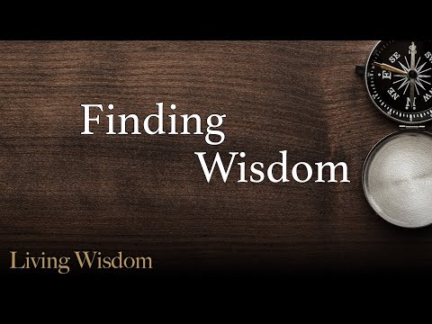 Finding Wisdom by Mike Mott
