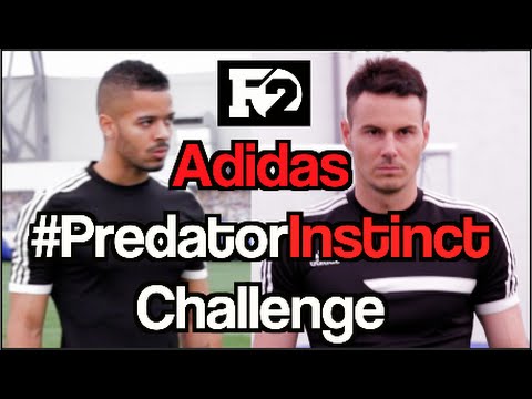 F2Freestylers Amazing Predator Instinct Challenge MUST WATCH - UCKvn9VBLAiLiYL4FFJHri6g