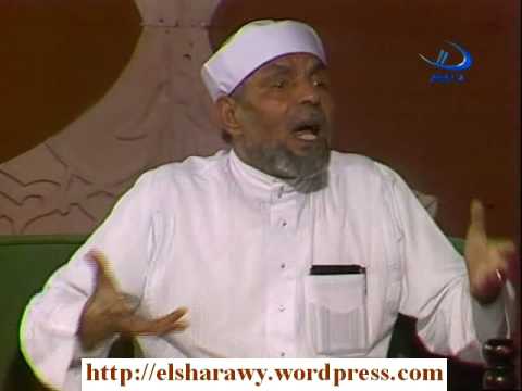 دور المسلمين فى بلاد الغرب