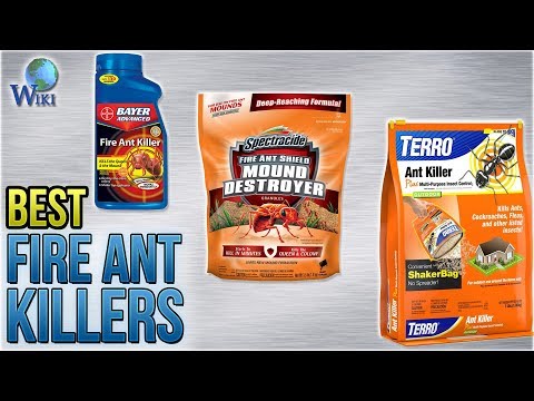 10 Best Fire Ant Killers 2018 - UCXAHpX2xDhmjqtA-ANgsGmw