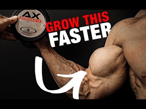 How to Get Bigger Biceps (LIGHT WEIGHTS!!) - UCe0TLA0EsQbE-MjuHXevj2A