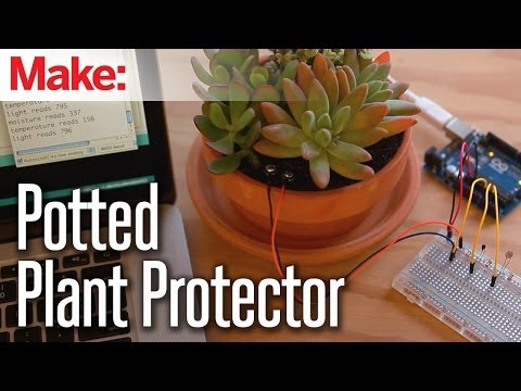 Weekend Projects - Potted Plant Protector - UChtY6O8Ahw2cz05PS2GhUbg