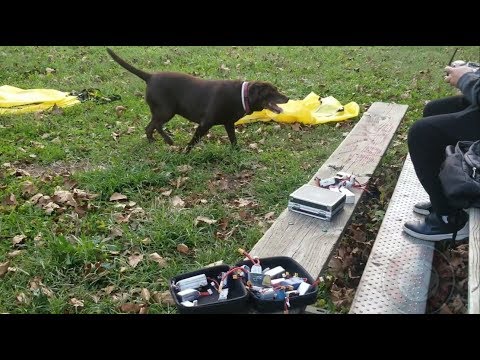 Frequent AGS VLog Day 11 - *Kids, Birds, Drones & A Dog* Fighting Quads (10/14/18) Pt 1 - UCNUx9bQyEI0k6CQpo4TaNAw