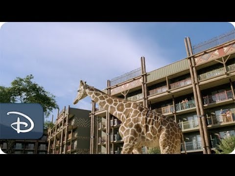 Disney’s Animal Kingdom Villas | Disney Vacation Club - UC1xwwLwm6WSMbUn_Tp597hQ