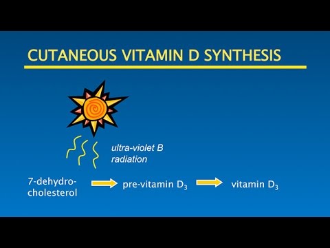 Vitamin D Sunshine Optimal Health: Putting it all Together - UCh6KFtW4a4Ozr81GI1cxaBQ