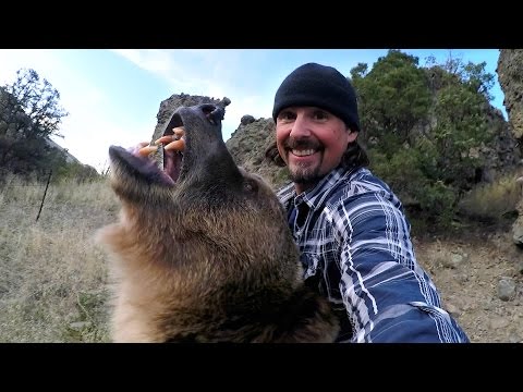 GoPro: Man and Grizzly Bear - Rewriting History - UCqhnX4jA0A5paNd1v-zEysw