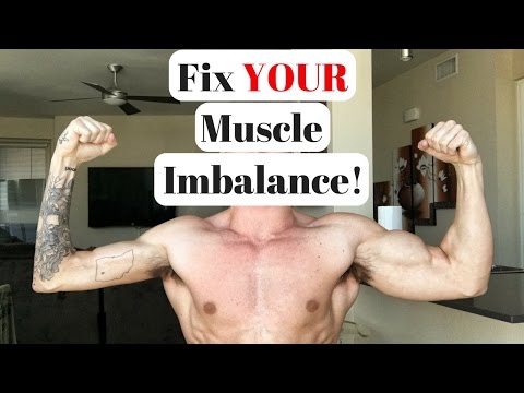 How To Fix YOUR Muscle Imbalance (3 Tips) - UCOFCwvhDoUvYcfpD7RJKQwA