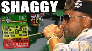 Shaggy feat. Rayvon - Angel @ Reggae Geel 2015