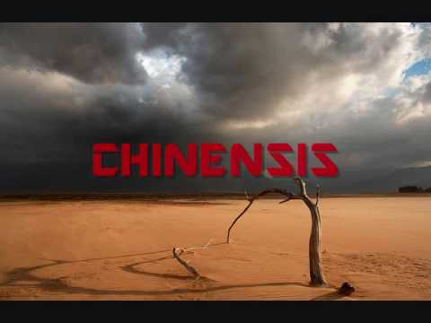 Chinensis- Flowing tears (Sad drum & bass) - UCWqte6LvFMt6FTjK0iI-p2w