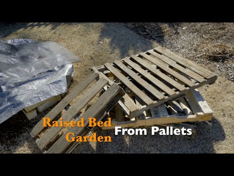 Raised Bed Garden from Pallets - UCmxBsGrSE3sbCs3eXeoJViw