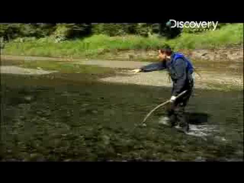 Man vs. Wild - Alaska Fishing Salmon - UCqOoboPm3uhY_YXhvhmL-WA