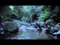 AE: Apocalypse Earth (2013)