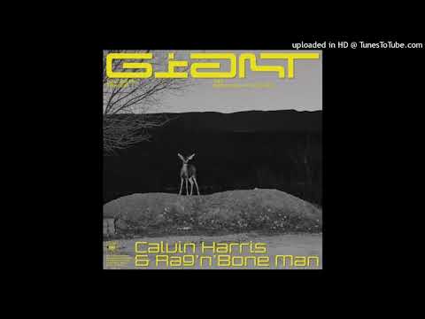 Calvin Harris, Rag'n'Bone Man - Giant