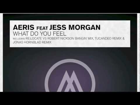 Aeris feat. Jess Morgan - What Do You Feel (ReLocate vs Robert Nickson Bangin' Mix) Molekular - UCsoHXOnM64WwLccxTgwQ-KQ