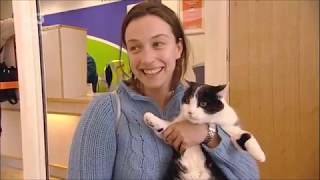 AIRLINE - Crazy Woman Tries To Smuggle Cat In Airport!