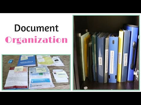 Document Organization - UC2GT4HiSvUipWNwcWUM7iJQ