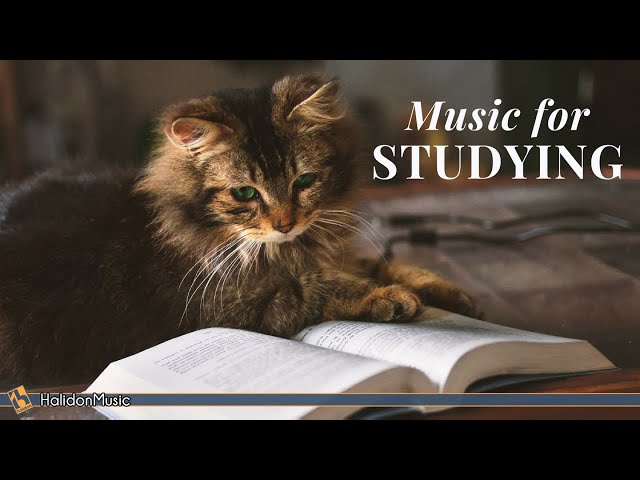The Best Instrumental Classical Music for Studying