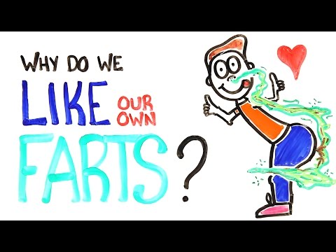 Why Do We Like Our Own Farts? - UCC552Sd-3nyi_tk2BudLUzA