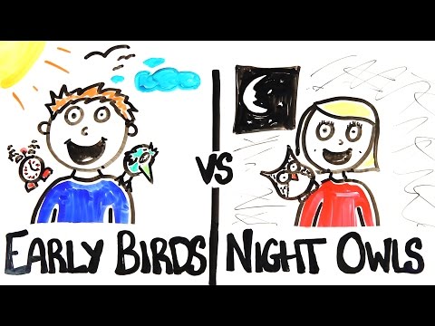 Early Birds vs Night Owls - UCC552Sd-3nyi_tk2BudLUzA
