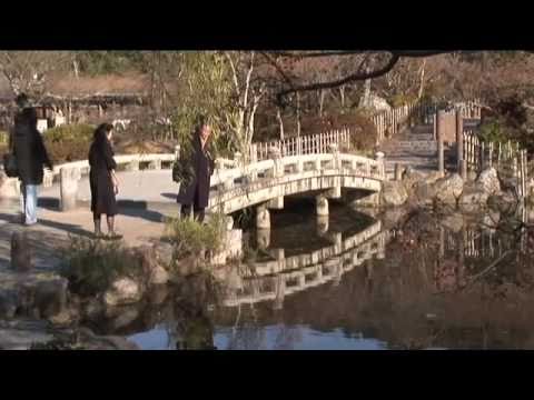 Kyoto part 3 - UCvW8JzztV3k3W8tohjSNRlw