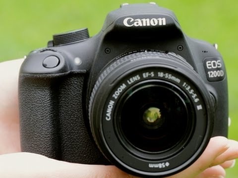 Canon's basic Rebel - UCOmcA3f_RrH6b9NmcNa4tdg