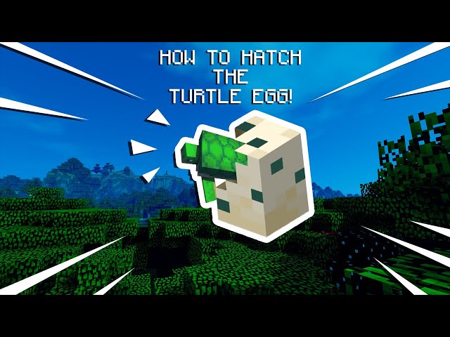 How Long Does It Take for Turtle Eggs to Hatch in Minecraft?